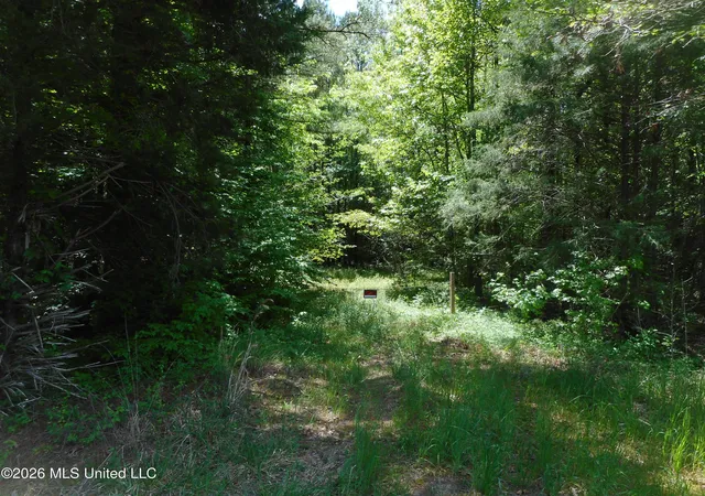 Homes for sale in Lena, MS | Hwy 25, Lena, MS 39094 | MLS# 4145939