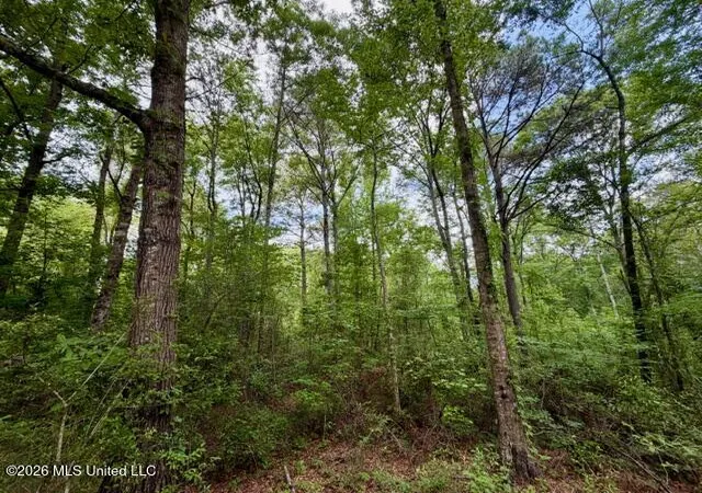 Homes for sale in Mc Comb, MS | Conerly Dr, Mc Comb, MS 39648 | MLS# 4146218