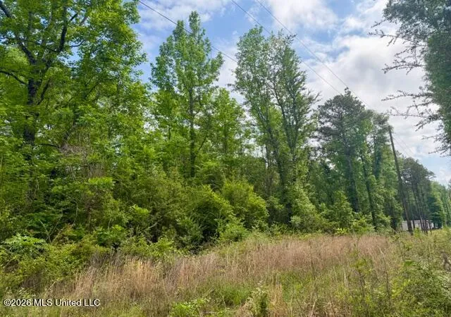 Homes for sale in Mc Comb, MS | Conerly Dr, Mc Comb, MS 39648 | MLS# 4146218