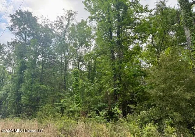 Homes for sale in Mc Comb, MS | Conerly Dr, Mc Comb, MS 39648 | MLS# 4146218