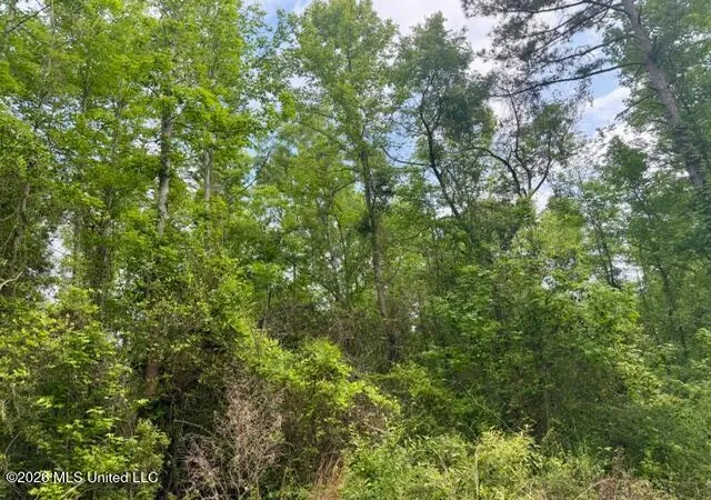 Homes for sale in Mc Comb, MS | Conerly Dr, Mc Comb, MS 39648 | MLS# 4146218