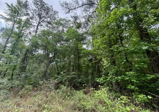 Homes for sale in Mc Comb, MS | Conerly Dr, Mc Comb, MS 39648 | MLS# 4146218