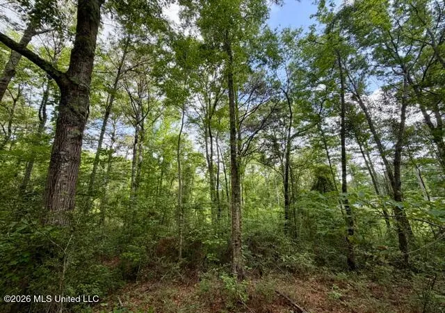 Homes for sale in Mc Comb, MS | Conerly Dr, Mc Comb, MS 39648 | MLS# 4146218