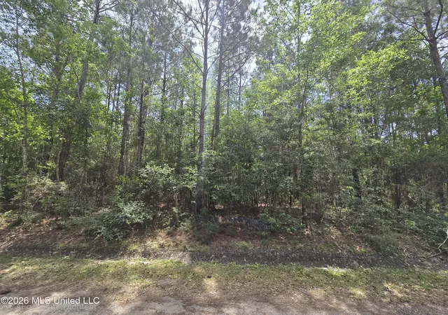 Homes for sale in Bay Saint Louis, MS | 00 9 St, Bay Saint Louis, MS 39520 | MLS# 4146239