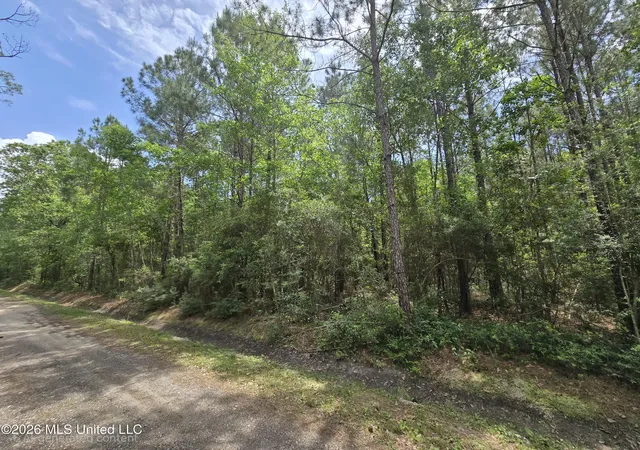 Homes for sale in Bay Saint Louis, MS | 00 9 St, Bay Saint Louis, MS 39520 | MLS# 4146239