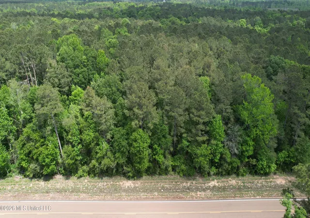 Homes for sale in Smithdale, MS | 0 Us 98 Hwy, Smithdale, MS 39664 | MLS# 4146177