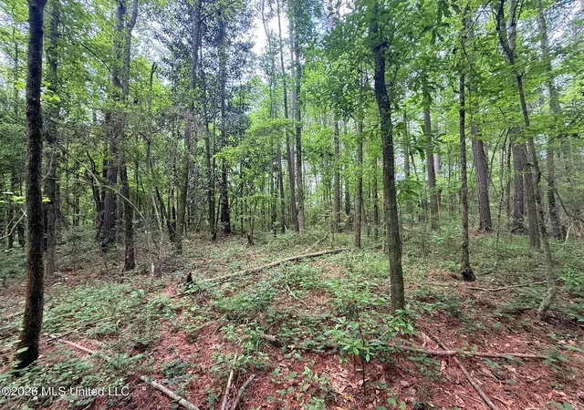 Homes for sale in Smithdale, MS | 0 Us 98 Hwy, Smithdale, MS 39664 | MLS# 4146177