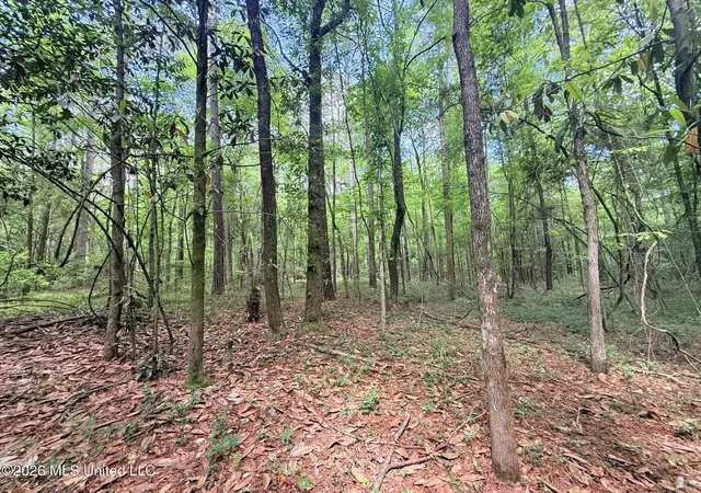 Homes for sale in Smithdale, MS | 0 Us 98 Hwy, Smithdale, MS 39664 | MLS# 4146177