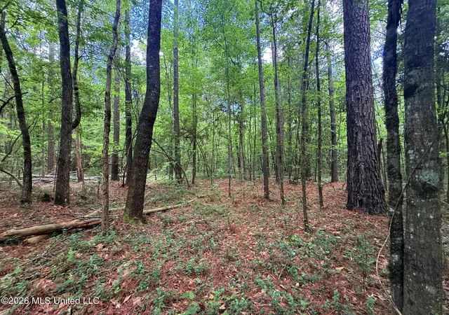 Homes for sale in Smithdale, MS | 0 Us 98 Hwy, Smithdale, MS 39664 | MLS# 4146177