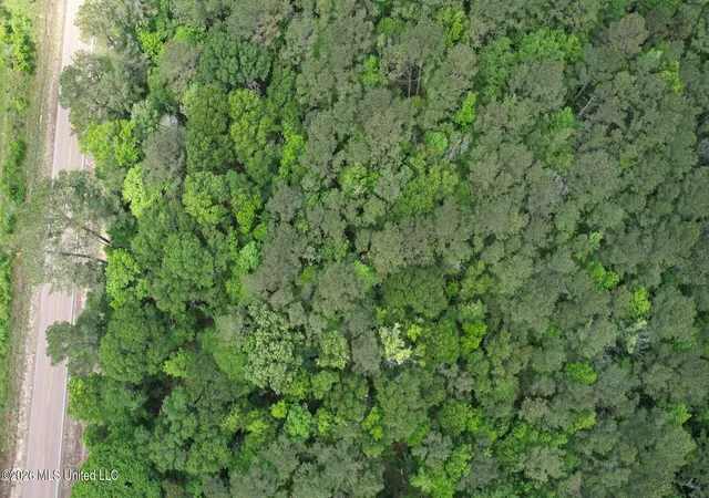 Photo 1 of Land for sale at 2538 Us 98, Smithdale, MS 39664 | MLS# 4146175 | Listing updated on 2026-07-17