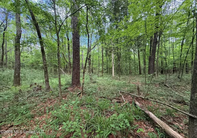 Photo 2 of Land for sale at 2538 Us 98, Smithdale, MS 39664 | MLS# 4146175 | Listing updated on 2026-07-17