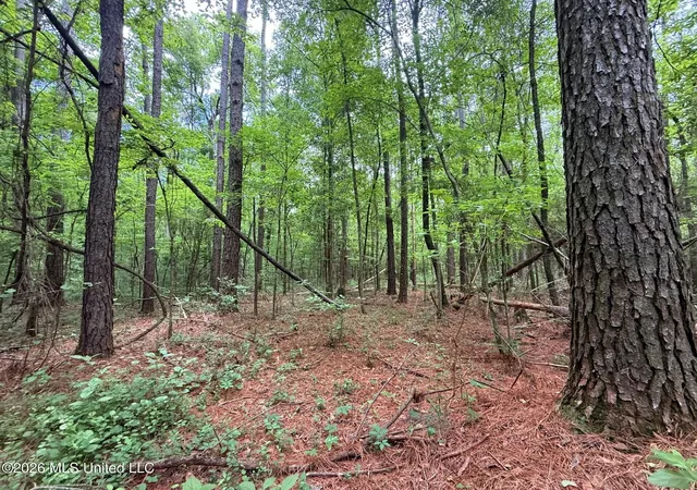 Photo 2 of Land for sale at 2538 US 98, Smithdale, MS 39664 | MLS# 4146175 | Listing updated on 2026-07-17