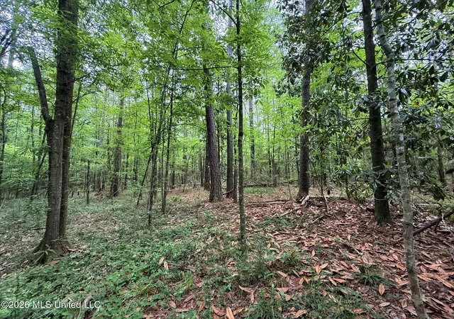 Photo 3 of Land for sale at 2538 US 98, Smithdale, MS 39664 | MLS# 4146175 | Listing updated on 2026-07-17