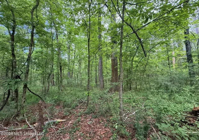 Photo 4 of Land for sale at 2538 US 98, Smithdale, MS 39664 | MLS# 4146175 | Listing updated on 2026-07-17
