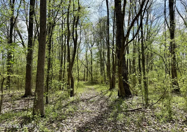 1st image of Duram Rd, Olive Branch, MS 38654 | MLS# 4146680
