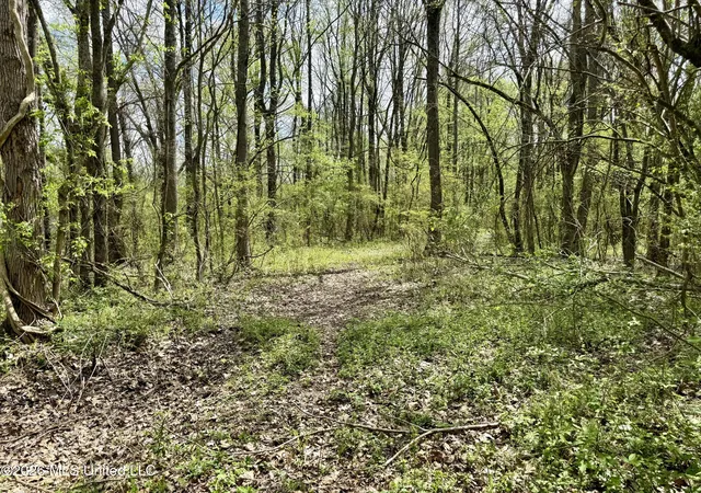 2nd image of Duram Rd, Olive Branch, MS 38654 | MLS# 4146680