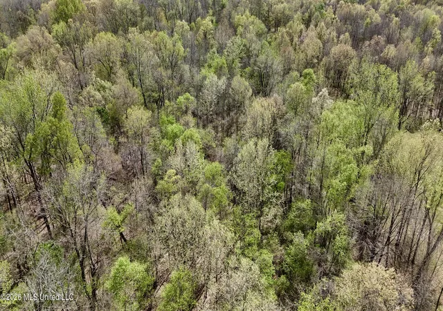 4th image of Duram Rd, Olive Branch, MS 38654 | MLS# 4146680