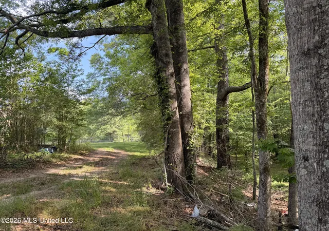 Homes for sale in Utica, MS | 527 Carpenter St, Utica, MS 39175 | MLS# 4146339