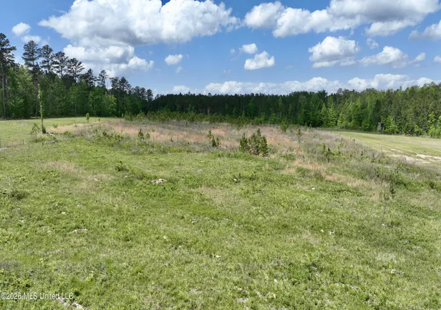 Homes for sale in Lena, MS | 0010 Coal Bluff Rd, Lena, MS 39094 | MLS# 4146383