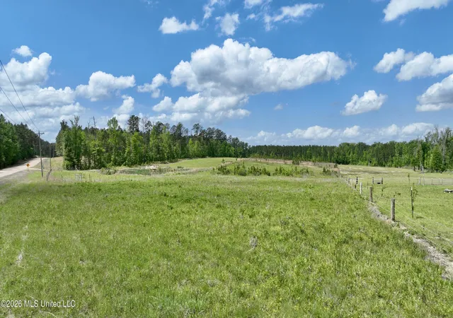 Homes for sale in Lena, MS | 0010 Coal Bluff Rd, Lena, MS 39094 | MLS# 4146383
