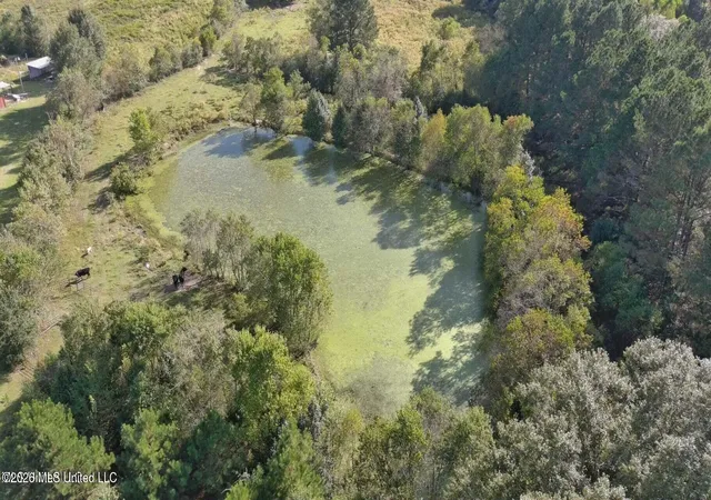 Photo 2 of Land for sale at E Us Hwy 98, Mc Comb, MS 39648 | MLS# 4146420 | Listing updated on 2026-04-18