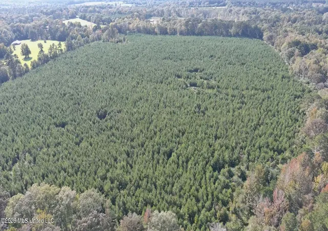 Photo 3 of Land for sale at E US Hwy 98, Mc Comb, MS 39648 | MLS# 4146420 | Listing updated on 2026-04-18