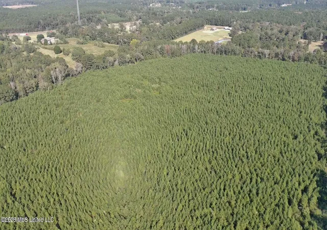 Photo 4 of Land for sale at E US Hwy 98, Mc Comb, MS 39648 | MLS# 4146420 | Listing updated on 2026-04-18