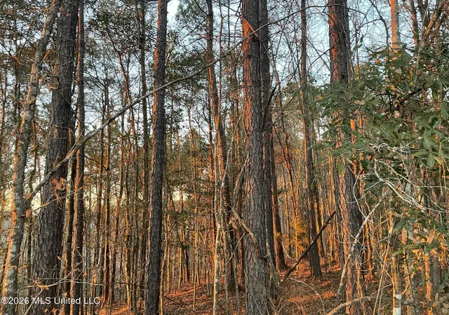 Homes for sale in Brookhaven, MS | 371 Sw Low Water Ln, Brookhaven, MS 39601 | MLS# 4146488