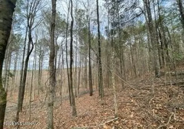 Homes for sale in Brookhaven, MS | 371 Sw Low Water Ln, Brookhaven, MS 39601 | MLS# 4146488