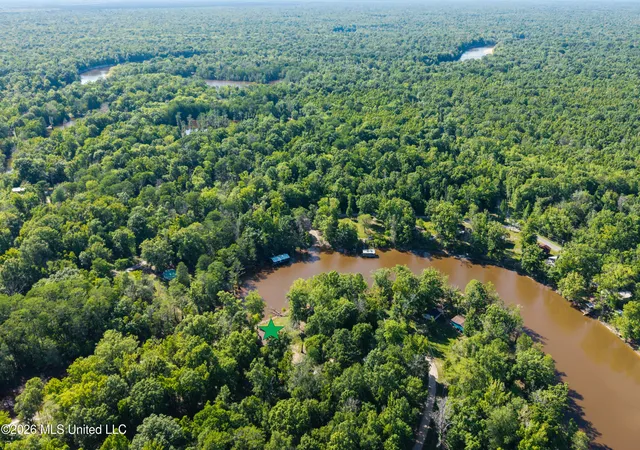 Homes for sale in Lucedale, MS | 24748 Davis Dead River Cir, Lucedale, MS 39452 | MLS# 4146724