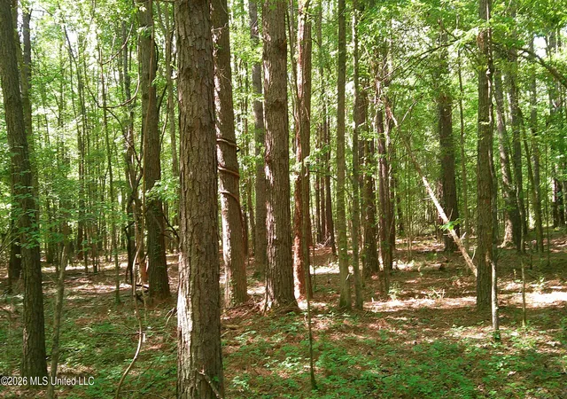Photo 3 of Sale Pending at Pleasant Hills Rd, Amory, MS 38821 | MLS# 4146795 | Listing updated on 2026-10-09