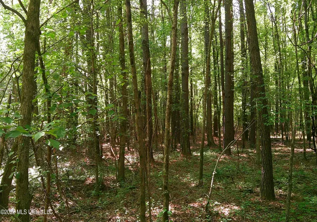 Photo 4 of Sale Pending at Pleasant Hills Rd, Amory, MS 38821 | MLS# 4146795 | Listing updated on 2026-10-09