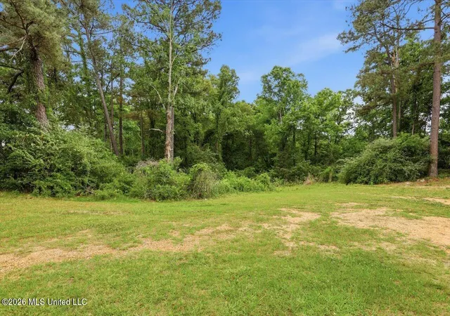 Homes for sale in Mendenhall, MS | 668 Rose Hill Rd, Mendenhall, MS 39114 | MLS# 4146860