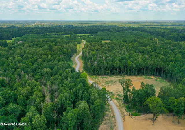Homes for sale in Madison, MS | Stout Meadows Lane, Lot 17, Madison, MS 39110 | MLS# 4146602