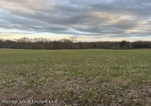 Photo 2 of Land for sale at 0 Meadow Oaks Ln, Jackson, MS 39209 | MLS# 4146621 | Listing updated on 2026-04-20