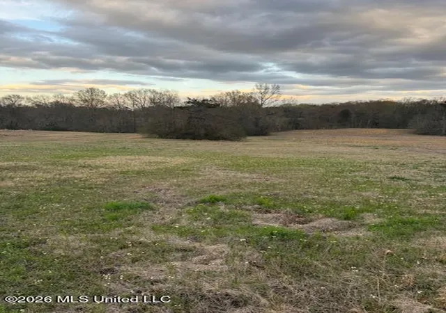 Photo 3 of Land for sale at 0 Meadow Oaks Ln, Jackson, MS 39209 | MLS# 4146621 | Listing updated on 2026-04-20
