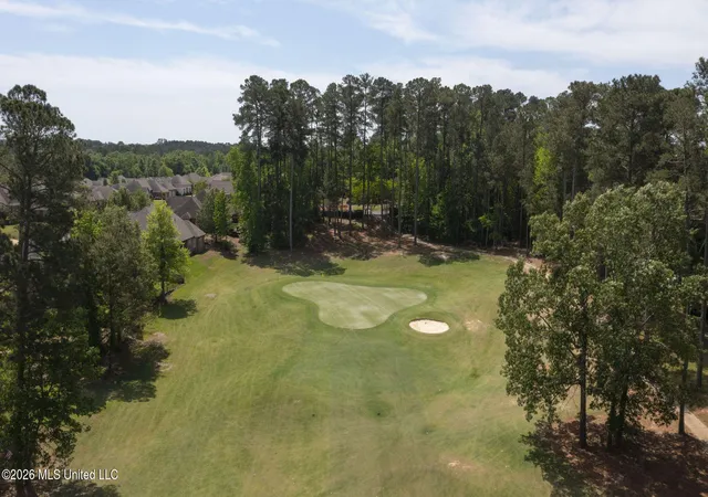 49th image of 110 Willow Crest Cir, Brandon, MS 39047 | MLS# 4147209