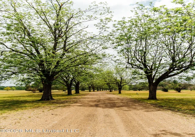 2nd image of 63001 Us 82, Greenwood, MS 38930 | MLS# 4146666