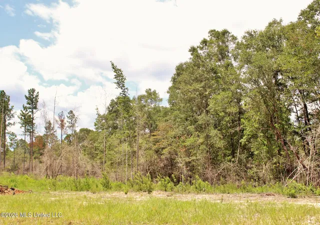 13th image of 378ac Cottonwood Dr, Lucedale, MS 39452 | MLS# 4146832