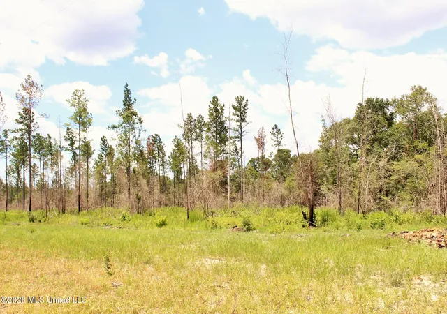 1st image of 378ac Cottonwood Dr, Lucedale, MS 39452 | MLS# 4146832