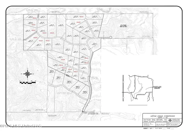 Homes for sale in Lucedale, MS | 378ac Cottonwood Dr, Lucedale, MS 39452 | MLS# 4146832