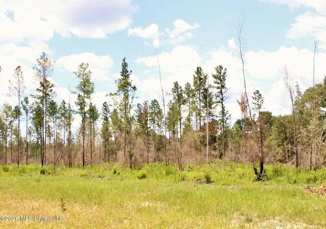 5th image of 378Ac Cottonwood Dr, Lucedale, MS 39452 | MLS# 4146832