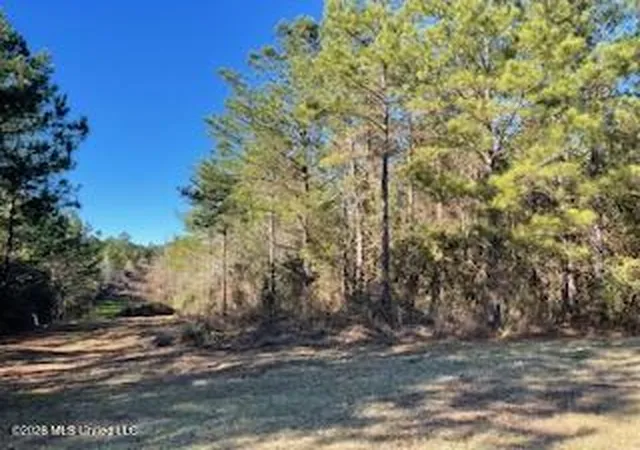 Homes for sale in Brookhaven, MS | Ne Linwood Ln, Brookhaven, MS 39601 | MLS# 4146843