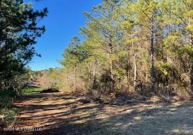 Homes for sale in Brookhaven, MS | Ne Linwood Ln, Brookhaven, MS 39601 | MLS# 4146843