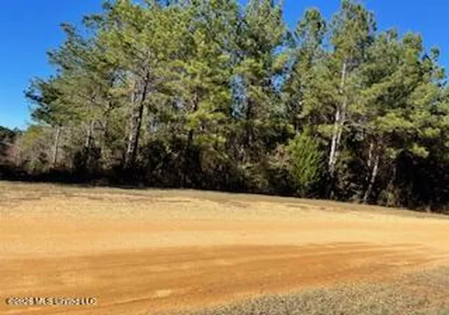 Homes for sale in Brookhaven, MS | Ne Linwood Ln, Brookhaven, MS 39601 | MLS# 4146843