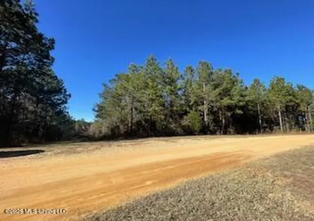 Homes for sale in Brookhaven, MS | Ne Linwood Ln, Brookhaven, MS 39601 | MLS# 4146843