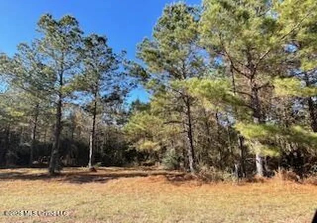 Homes for sale in Brookhaven, MS | Ne Linwood Ln, Brookhaven, MS 39601 | MLS# 4146843