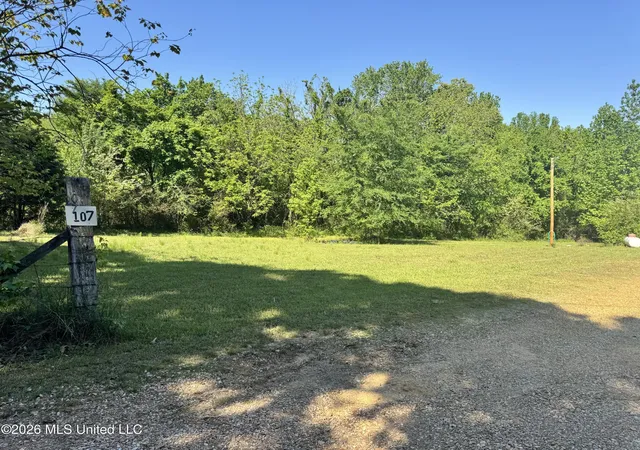 Homes for sale in Byhalia, MS | 107 Union Valley Rd, Byhalia, MS 38611 | MLS# 4146842
