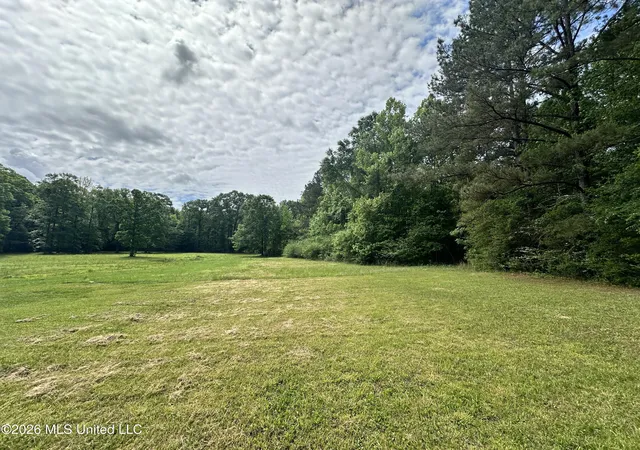 Photo 1 of Land for sale at Mccomb Holmesville Rd, Mc Comb, MS 39648 | MLS# 4147221 | Listing updated on 2026-04-25