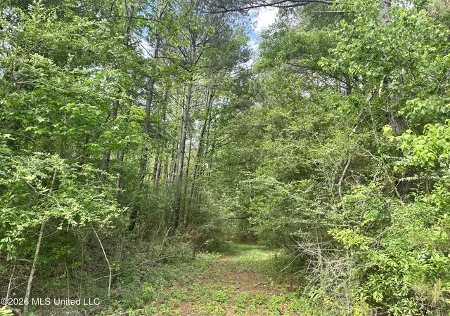 Photo 2 of Land for sale at Mccomb Holmesville Rd, Mc Comb, MS 39648 | MLS# 4147221 | Listing updated on 2026-04-25